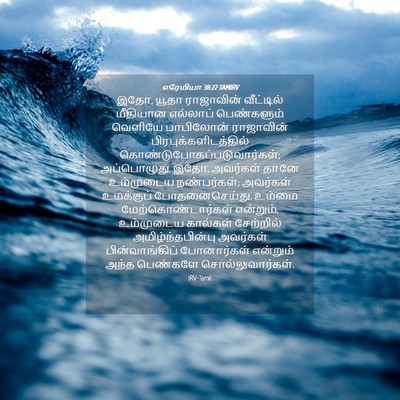Picture 04 - எரேமியா 38:22 TAMIRV - இதோ, யூதா ராஜாவின் - Bible Verse Picture