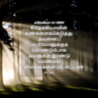Picture 04 - எரேமியா 39:7 TAMIRV - சிதேக்கியாவின் - Bible Verse Picture