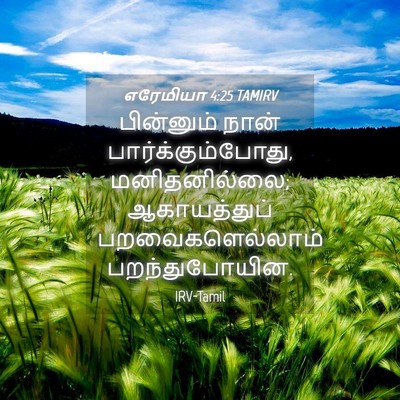 Picture 04 - எரேமியா 4:25 TAMIRV - பின்னும் நான் - Bible Verse Picture