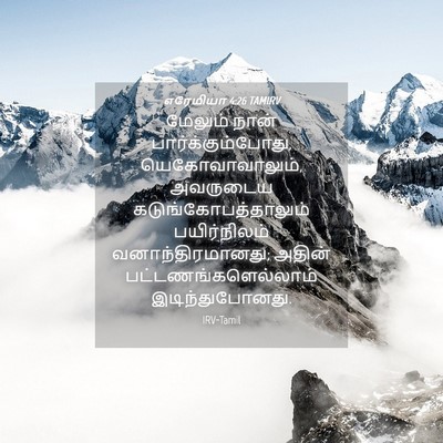 Picture 04 - எரேமியா 4:26 TAMIRV - மேலும் நான் - Bible Verse Picture