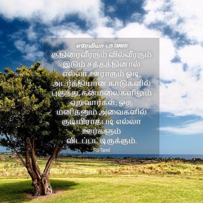 Picture 04 - எரேமியா 4:29 TAMIRV - குதிரைவீரரும் - Bible Verse Picture