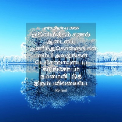 Picture 04 - எரேமியா 4:8 TAMIRV - இதினிமித்தம் சணல் - Bible Verse Picture