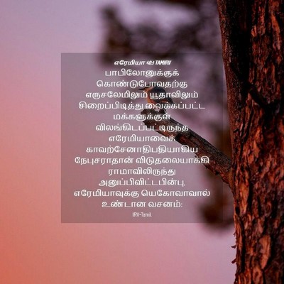 Picture 04 - எரேமியா 40:1 TAMIRV - பாபிலோனுக்குக் - Bible Verse Picture