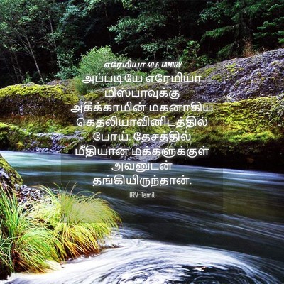 Picture 04 - எரேமியா 40:6 TAMIRV - அப்படியே எரேமியா - Bible Verse Picture