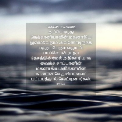 Picture 04 - எரேமியா 41:2 TAMIRV - அப்பொழுது - Bible Verse Picture
