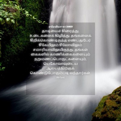 Picture 04 - எரேமியா 41:5 TAMIRV - தாடியைச் - Bible Verse Picture