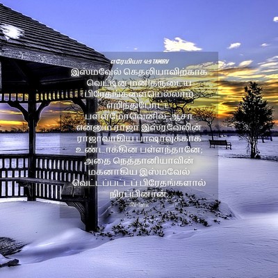 Picture 04 - எரேமியா 41:9 TAMIRV - இஸ்மவேல் - Bible Verse Picture