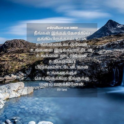 Picture 04 - எரேமியா 42:10 TAMIRV - நீங்கள் இந்தத் - Bible Verse Picture