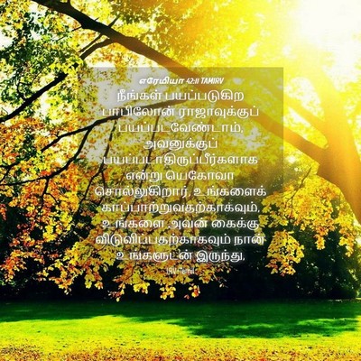 Picture 04 - எரேமியா 42:11 TAMIRV - நீங்கள் - Bible Verse Picture