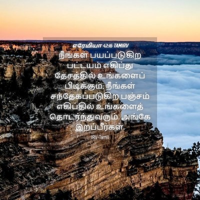 Picture 04 - எரேமியா 42:16 TAMIRV - நீங்கள் - Bible Verse Picture