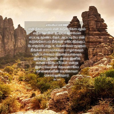 Picture 04 - எரேமியா 42:18 TAMIRV - என் கோபமும் என் - Bible Verse Picture
