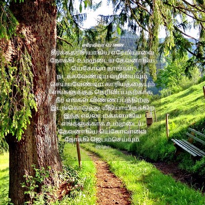 Picture 04 - எரேமியா 42:2 TAMIRV -  - Bible Verse Picture