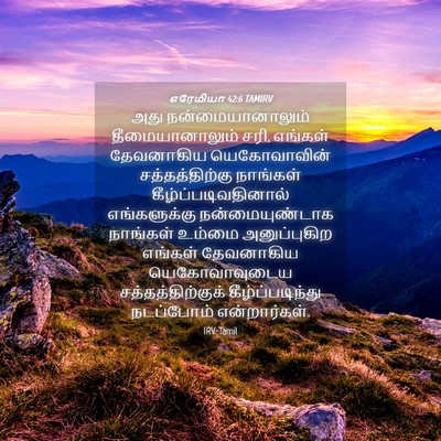 Picture 04 - எரேமியா 42:6 TAMIRV - அது நன்மையானாலும் - Bible Verse Picture