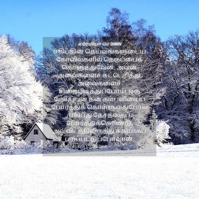 Picture 04 - எரேமியா 43:12 TAMIRV - எகிப்தின் - Bible Verse Picture