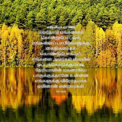 Picture 04 - எரேமியா 43:3 TAMIRV - கல்தேயர் எங்களைக் - Bible Verse Picture