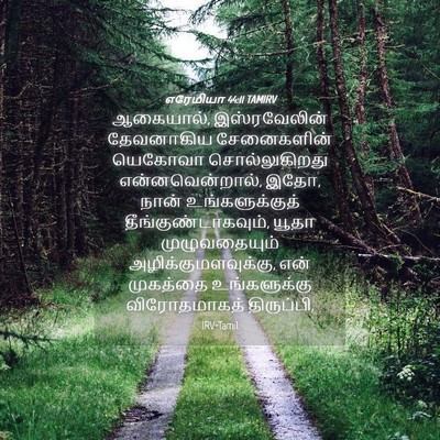 Picture 04 - எரேமியா 44:11 TAMIRV - ஆகையால், - Bible Verse Picture