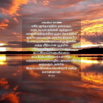 Picture 04 - எரேமியா 44:14 TAMIRV - எகிப்துதேசத்தில் - Bible Verse Picture