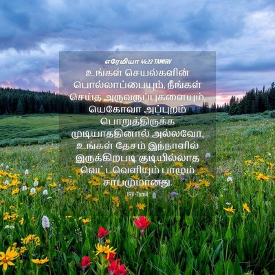 Picture 04 - எரேமியா 44:22 TAMIRV - உங்கள் செயல்களின் - Bible Verse Picture