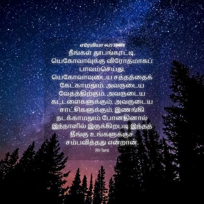 Picture 04 - எரேமியா 44:23 TAMIRV - நீங்கள் - Bible Verse Picture