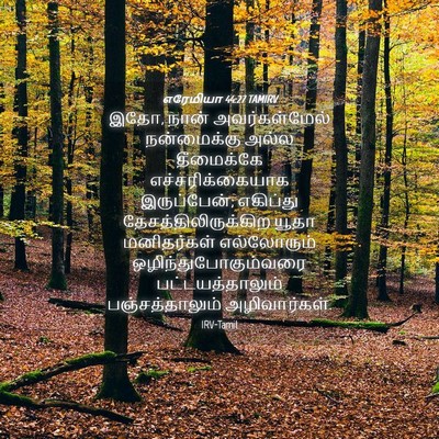 Picture 04 - எரேமியா 44:27 TAMIRV - இதோ, நான் - Bible Verse Picture