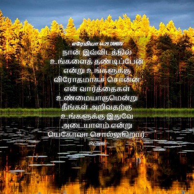 Picture 04 - எரேமியா 44:29 TAMIRV - நான் இவ்விடத்தில் - Bible Verse Picture