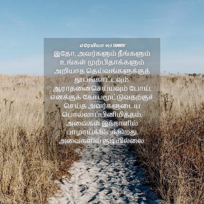 Picture 04 - எரேமியா 44:3 TAMIRV - இதோ, அவர்களும் - Bible Verse Picture