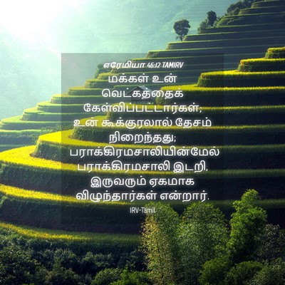 Picture 04 - எரேமியா 46:12 TAMIRV - மக்கள் உன் - Bible Verse Picture