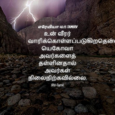 Picture 04 - எரேமியா 46:15 TAMIRV - உன் வீரர் - Bible Verse Picture