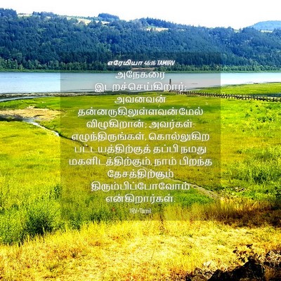 Picture 04 - எரேமியா 46:16 TAMIRV - அநேகரை - Bible Verse Picture