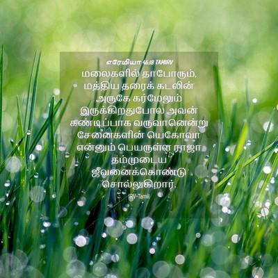 Picture 04 - எரேமியா 46:18 TAMIRV - மலைகளில் - Bible Verse Picture
