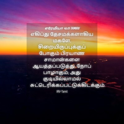 Picture 04 - எரேமியா 46:19 TAMIRV - எகிப்து - Bible Verse Picture