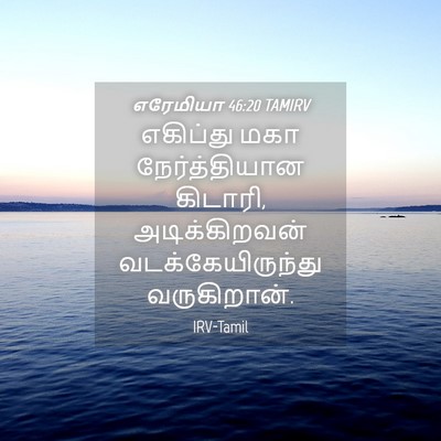 Picture 04 - எரேமியா 46:20 TAMIRV - எகிப்து மகா - Bible Verse Picture