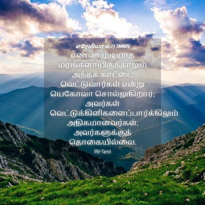 Picture 04 - எரேமியா 46:23 TAMIRV - எண்ணமுடியாத - Bible Verse Picture