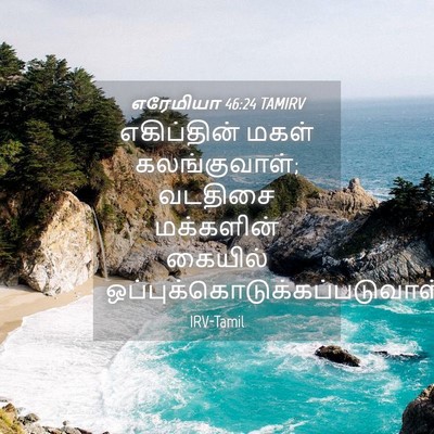 Picture 04 - எரேமியா 46:24 TAMIRV - எகிப்தின் மகள் - Bible Verse Picture