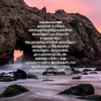Picture 04 - எரேமியா 46:26 TAMIRV - அவர்கள் உயிரை - Bible Verse Picture
