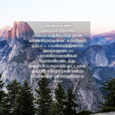 Picture 04 - எரேமியா 46:5 TAMIRV - அவர்கள் கலங்கி, - Bible Verse Picture