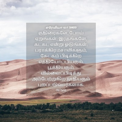 Picture 04 - எரேமியா 46:9 TAMIRV - குதிரைகளே, போய் - Bible Verse Picture