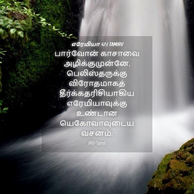 Picture 04 - எரேமியா 47:1 TAMIRV - பார்வோன் காசாவை - Bible Verse Picture