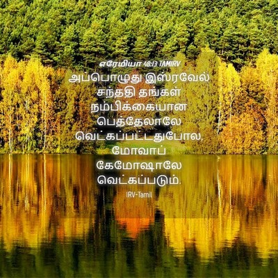Picture 04 - எரேமியா 48:13 TAMIRV - அப்பொழுது - Bible Verse Picture