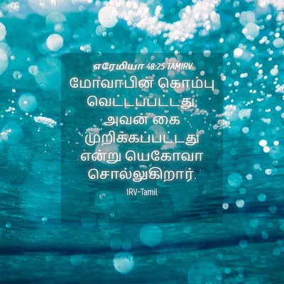 Picture 04 - எரேமியா 48:25 TAMIRV - மோவாபின் கொம்பு - Bible Verse Picture