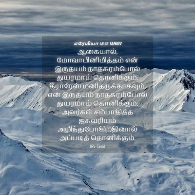 Picture 04 - எரேமியா 48:36 TAMIRV - ஆகையால், - Bible Verse Picture