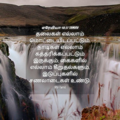 Picture 04 - எரேமியா 48:37 TAMIRV - தலைகள் எல்லாம் - Bible Verse Picture