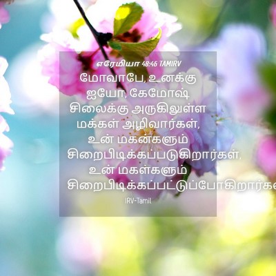 Picture 04 - எரேமியா 48:46 TAMIRV - மோவாபே, உனக்கு ஐயோ, - Bible Verse Picture