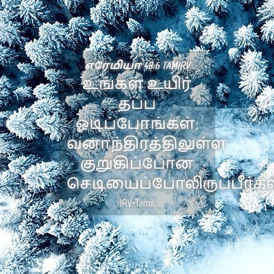 Picture 04 - எரேமியா 48:6 TAMIRV - உங்கள் உயிர் தப்ப - Bible Verse Picture