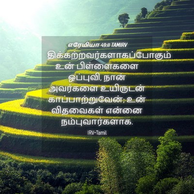 Picture 04 - எரேமியா 49:11 TAMIRV -  - Bible Verse Picture