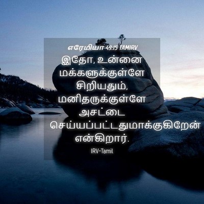 Picture 04 - எரேமியா 49:15 TAMIRV - இதோ, உன்னை - Bible Verse Picture