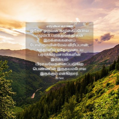 Picture 04 - எரேமியா 49:22 TAMIRV - இதோ, ஒருவன் - Bible Verse Picture