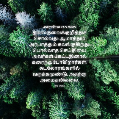 Picture 04 - எரேமியா 49:23 TAMIRV -  - Bible Verse Picture