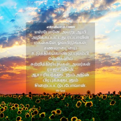 Picture 04 - எரேமியா 49:3 TAMIRV - எஸ்போனே, அலறு; ஆயி - Bible Verse Picture