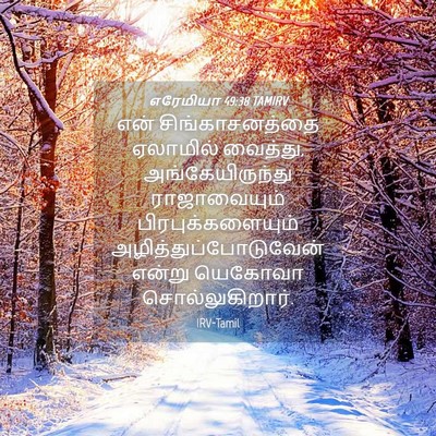Picture 04 - எரேமியா 49:38 TAMIRV - என் சிங்காசனத்தை - Bible Verse Picture